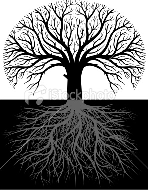 ist2_7008647-large-tree-roots-two